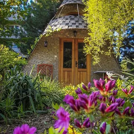 Harmony Пьештяни